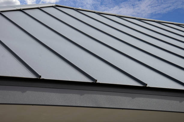 Steel Roofing in North Muskegon, MI